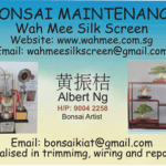 Albert name card2, Bonsai Tree Singapore, Buy Bonsai in Singapore, thesilkscreenprinting.com