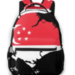 Custom Backpack Printing Singapore, Backpack Printing in Singapore, Custom Bag Printing 7